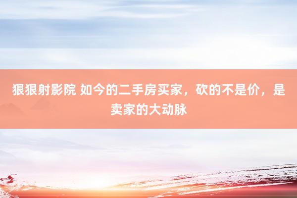 狠狠射影院 如今的二手房买家，砍的不是价，是卖家的大动脉