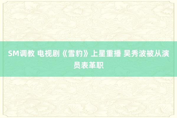 SM调教 电视剧《雪豹》上星重播 吴秀波被从演员表革职