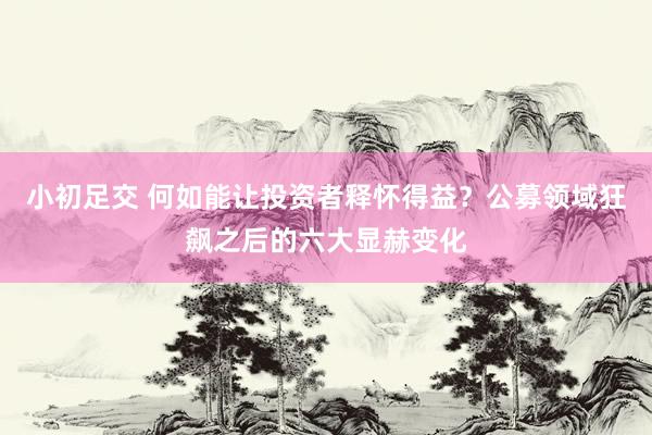 小初足交 何如能让投资者释怀得益？公募领域狂飙之后的六大显赫变化