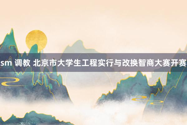 sm 调教 北京市大学生工程实行与改换智商大赛开赛