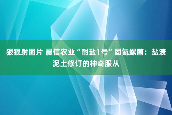 狠狠射图片 晨信农业“耐盐1号”固氮螺菌：盐渍泥土修订的神奇服从