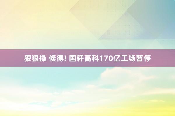 狠狠操 倏得! 国轩高科170亿工场暂停