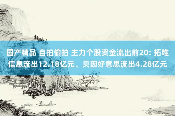 国产精品 自拍偷拍 主力个股资金流出前20: 拓维信息流出12.18亿元、贝因好意思流出4.28亿元