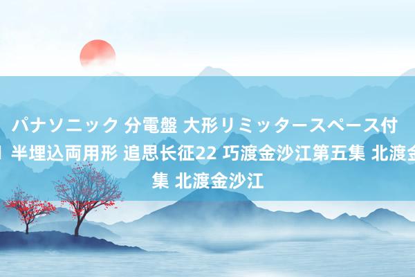 パナソニック 分電盤 大形リミッタースペース付 露出・半埋込両用形 追思长征22 巧渡金沙江第五集 北渡金沙江