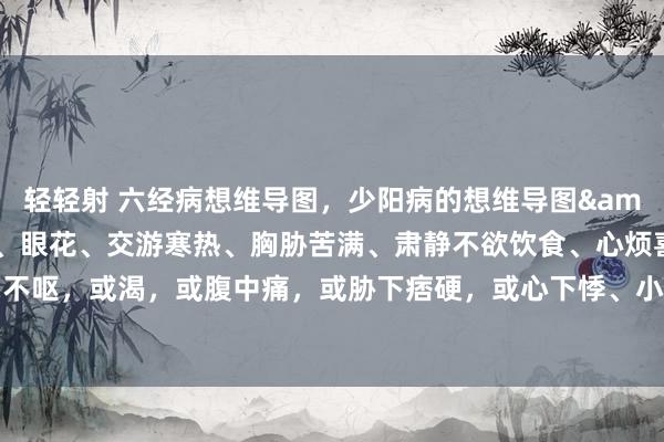 轻轻射 六经病想维导图，少阳病的想维导图&#160; 口苦、咽干、眼花、交游寒热、胸胁苦满、肃静不欲饮食、心烦喜呕，或胸中烦而不呕，或渴，或腹中痛，或胁下痞硬，或心下悸、小便不利，或不渴、身有微热，或咳等大别山养生